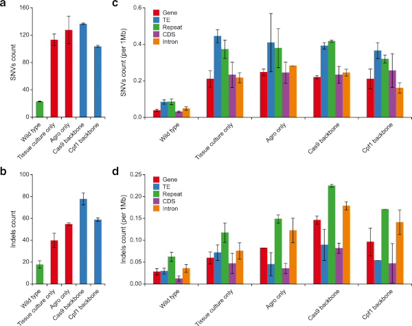 Grafy srovnávající počty mutací mezi šlechtěnými ne-GMO a NGT-GMO rostlinami.
